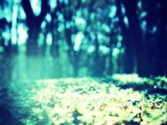 -reading cafe瑞汀咖啡(新华路店)