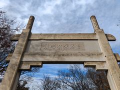 -紫金山山顶公园