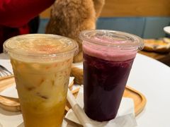 -滚猫咖啡·猫咖·猫友好撸猫(未来城店)