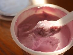 蓝莓接骨木花-乐纯(苹果社区店)