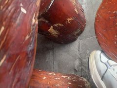 -杨记隆府(南坪店)