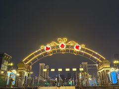 -武汉知音号