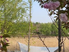 -九号公馆(秦岭路店)