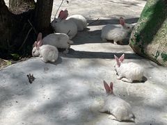 -青峰峡国家森林公园