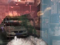 -FAELING PETS美天灵宠物(合生汇店)