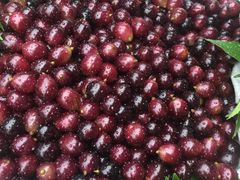 -老三羊汤【北兴隆街店】