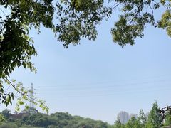 -重庆彩云湖湿地公园