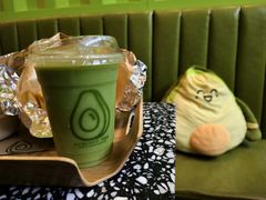 -油梨树AVOCADO TREE(顺义新国展店)