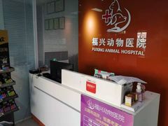 -瑞派福兴宠物医院犬猫全科·骨科·中西医结合(河东店)