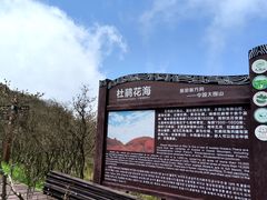 -大围山国家森林公园