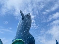 -珠海长隆海洋王国
