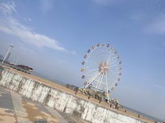 -奉贤海滩