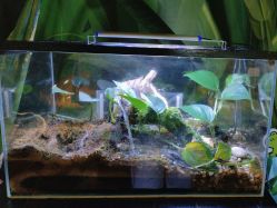 -酷嗒动物文化乐园(cutezoo西溪乐天城店)