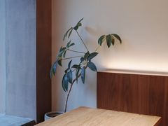 -溯洄咖啡VORTEX COFFEE