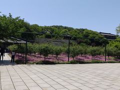 -三国水浒景区(无锡影视基地)