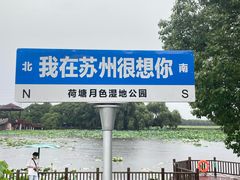 -荷塘月色湿地公园·向阳花洲
