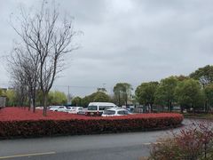 -顾村公园3号门停车场