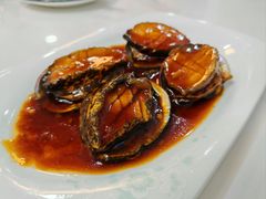 红烧鲍鱼-来之顺海鲜菜馆·青岛菜(栈桥店)