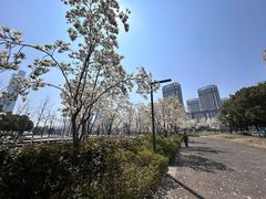 -南京眼步行桥