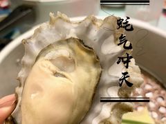 -千岛蚝高压锅生蚝·人参火锅(白云万达店)