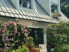 -花神·轻食简餐·咖啡馆·花卉绿植(荷兰花卉小镇店)