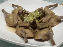 -龙悦湾酒家·八阵鱼生·渔人码头店