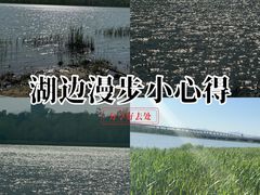 -绿堤公园