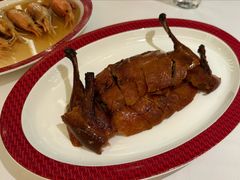 -圆苑(静安寺店)