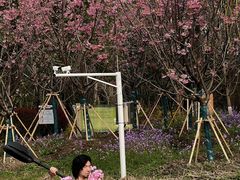 -梁鸿国家湿地公园