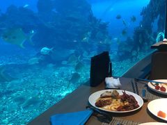 -海棠湾洲际-涛·海底餐厅·美人鱼·自助餐·海底隧道