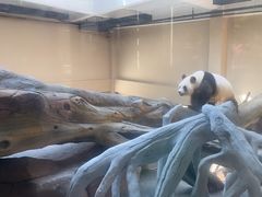 -宁波野生动物园