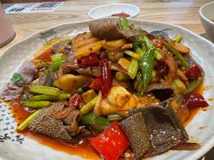 爆炒毛肚-冯四孃乐山跷脚牛肉(皇庭广场店)