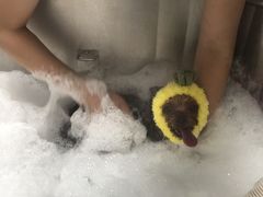 -Oh My Dog宠物沙龙(伊珊娜皮毛护理店)