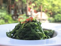 -绿茶餐厅(龙井船宴· 品牌总店)