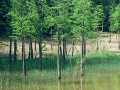 -神光山国家森林公园