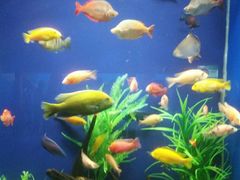 景点-水上乐园·欢乐世界