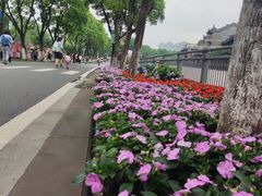 -武汉园博园(武汉自然博物馆)