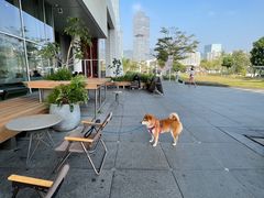 -SAANCI山池咖啡(海上世界文化艺术中心店)