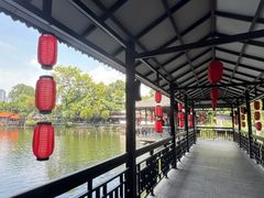 -侨美·唐荔园·40年地道粤菜