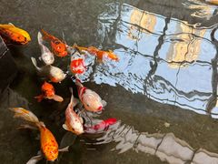 -天津海河悦榕庄·Lobby Lounge大堂吧