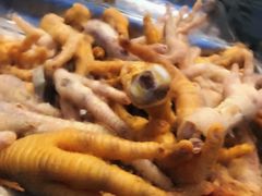 -九斤黄三黄鸡专卖店