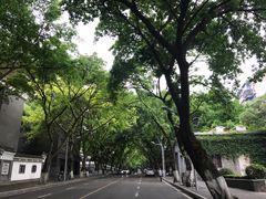 -蒋六十八梯眼镜面(渝中店)