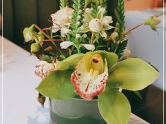 -蝶舍·MAISON PAPILLON