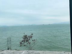 -七鲜渔港美食餐厅(巽寮湾海景店)