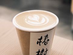 -椿树咖啡