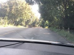 -胜华驾校·小猫学车(银都店)