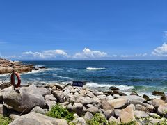 -广东惠东海龟国家级自然保护区