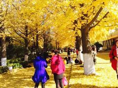 -辽东学院(南校区)