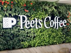 -Peet's Coffee皮爷咖啡(大学路店)