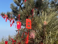 -泰山风景名胜区